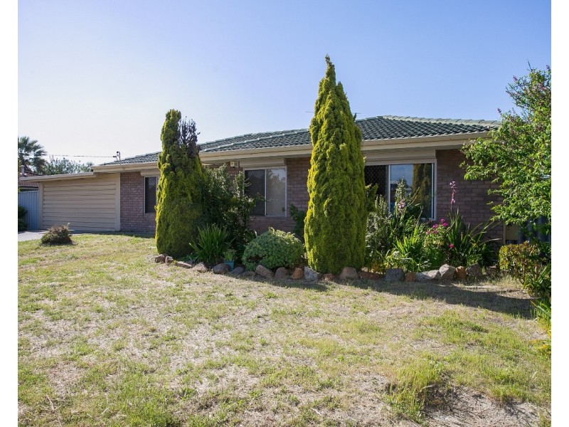 8 Amazon Drive, Beechboro WA 6063