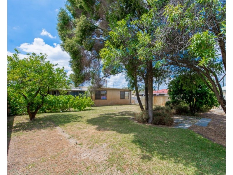 31 Embleton Avenue, Embleton WA 6062