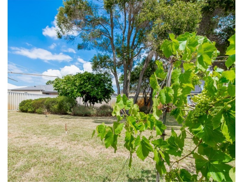 31 Embleton Avenue, Embleton WA 6062