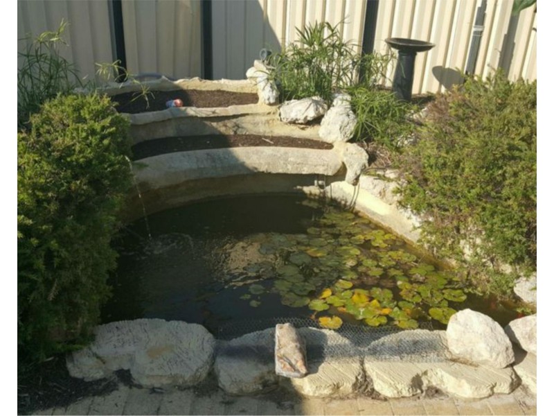 39 Homestead Drive, Clarkson WA 6030