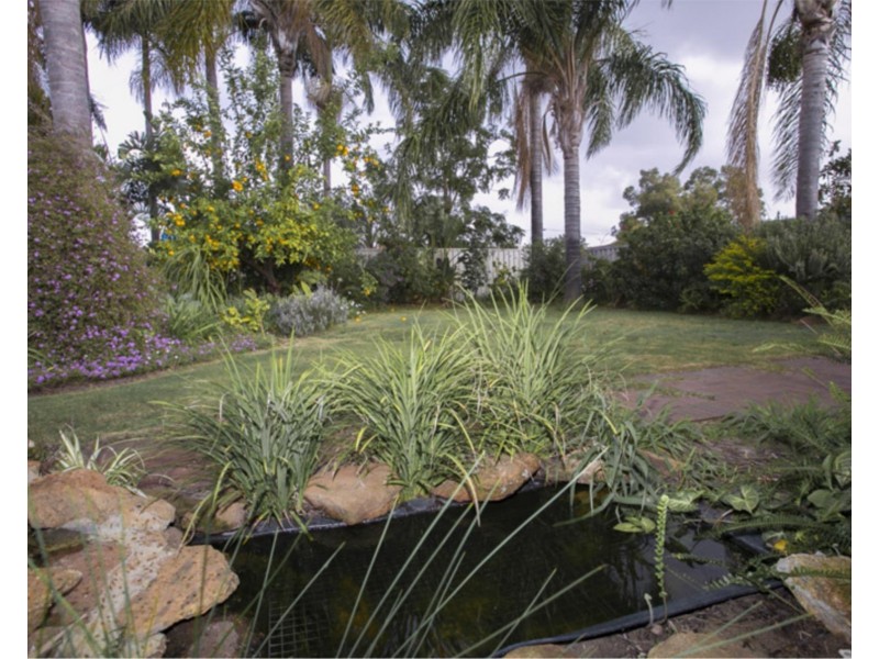 21 Amazon Drive, Beechboro WA 6063