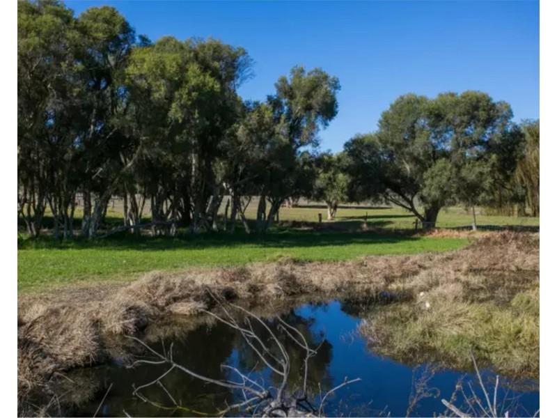 84 Fergusson Close, West Swan WA 6055