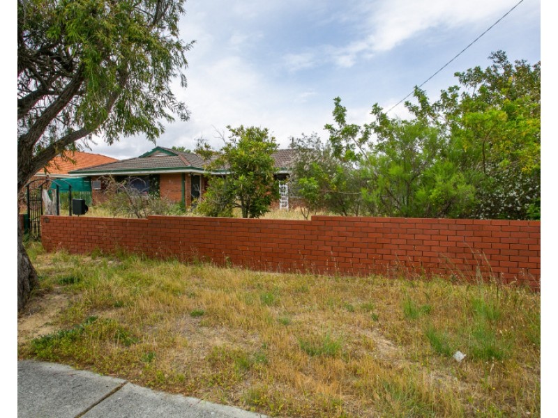 53 Brinckley Crescent, Koondoola WA 6064