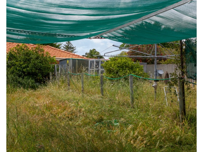 53 Brinckley Crescent, Koondoola WA 6064