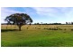 101 Bunya Mountain Road, Kaimkillenbun QLD 4406