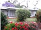 77 Condamine Street, Dalby QLD 4405