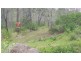 LOT 151 Gormans Gap Road, Upper Flagstone QLD 4344