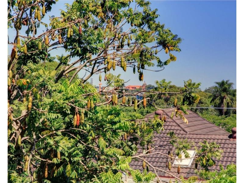 6/145 Ridge Street, Northgate QLD 4013