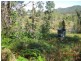 24 Retschlag Road, Sandy Creek QLD 4515