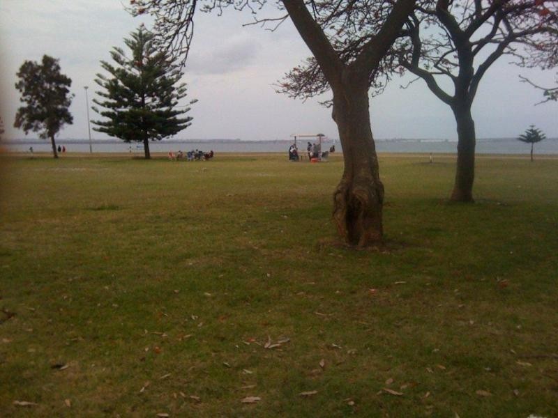 32 Ritchie Street, Sans Souci NSW 2219