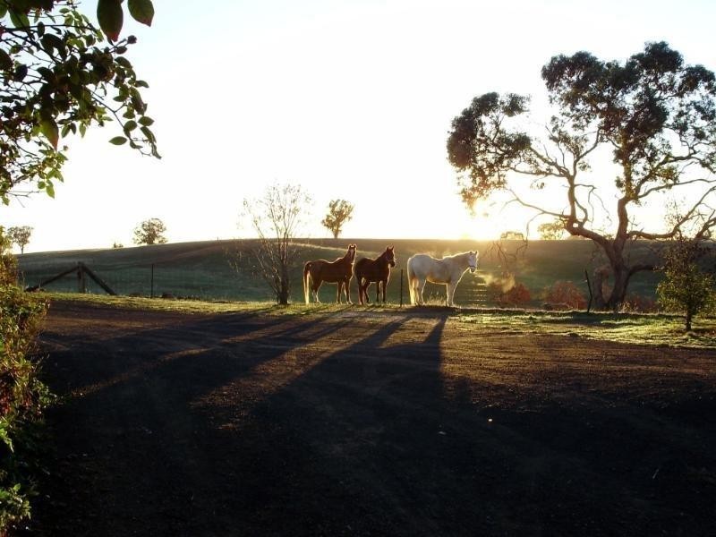 240 Moorrabee Rd, Knowsley VIC 3523