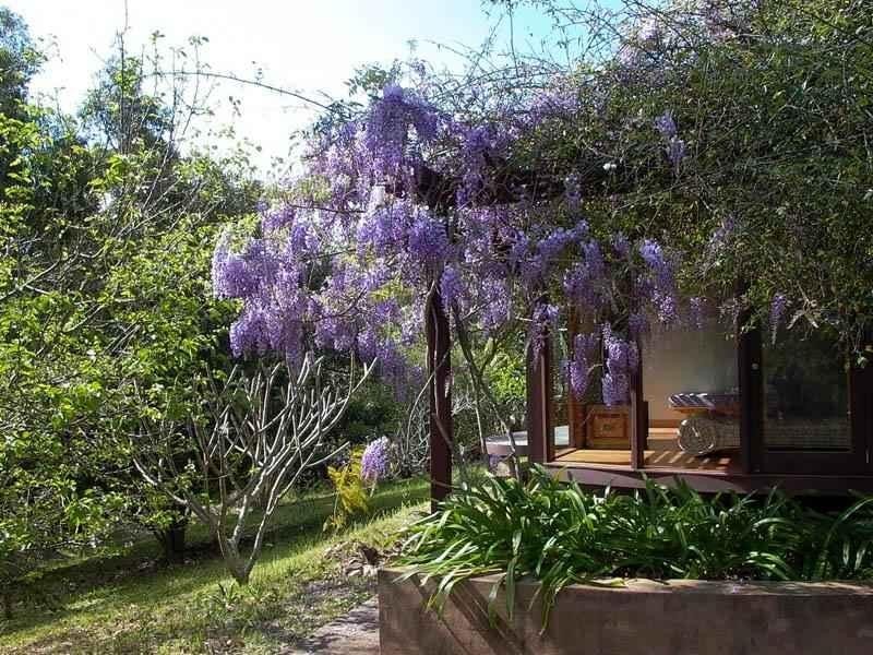 286 Pappinbarra Rd, Beechwood NSW 2446