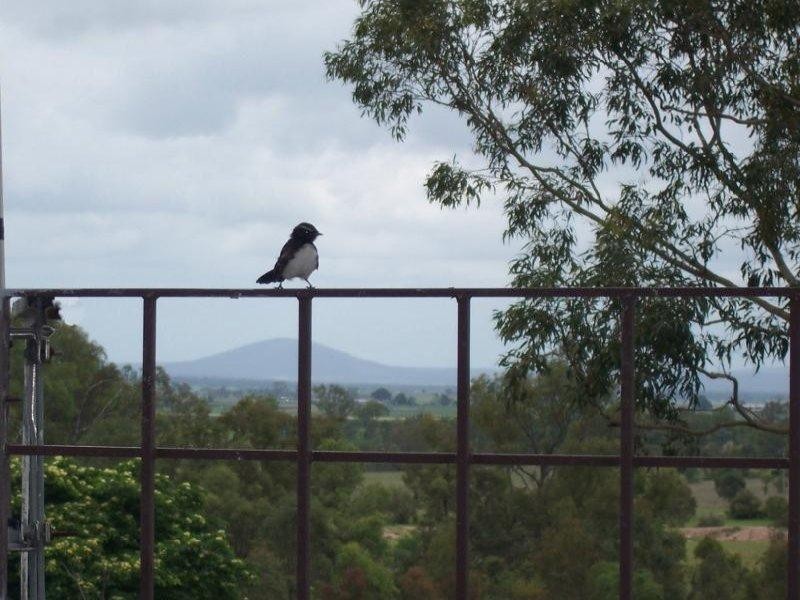 Regency Downs QLD 4341