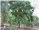 Lot 3 Round Hill Road, Agnes Water QLD 4677