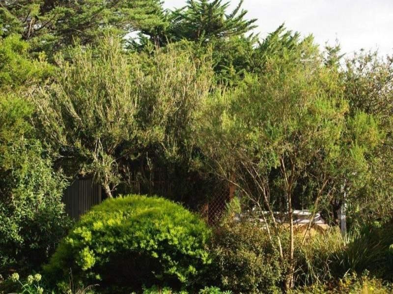 501 Backriver Road, Magra TAS 7140