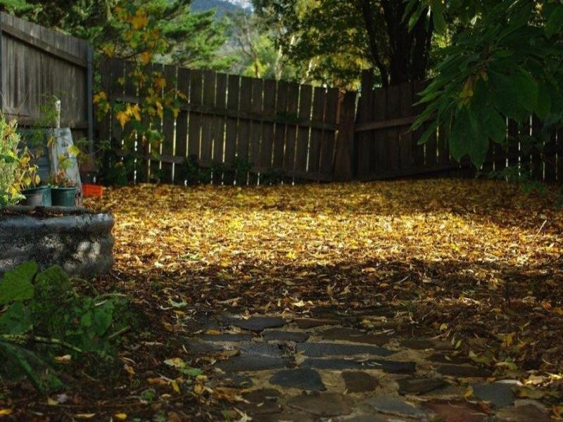 501 Backriver Road, Magra TAS 7140