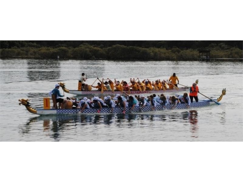 46 Bradshaw Dr, Currumbin Waters QLD 4223