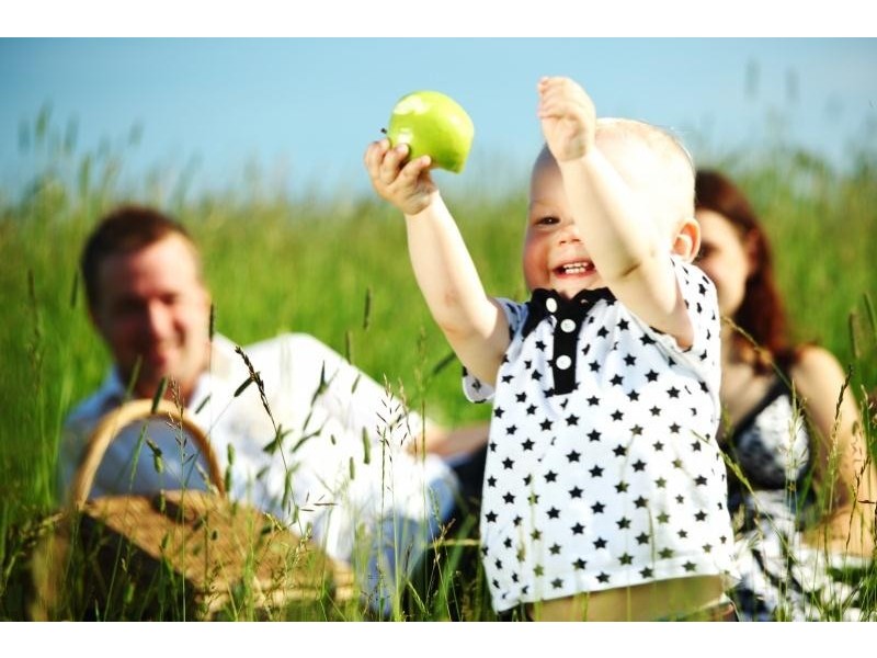 46 Bradshaw Dr, Currumbin Waters QLD 4223