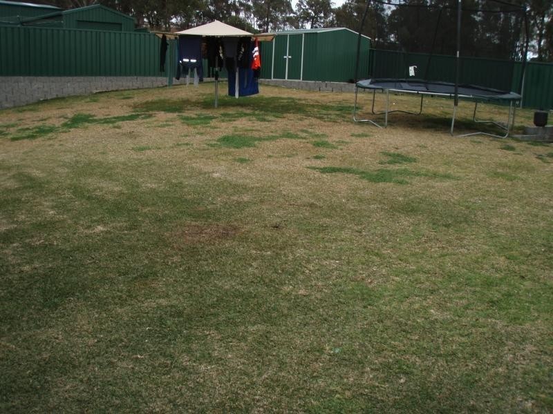 22 Weemala Place, Muswellbrook NSW 2333