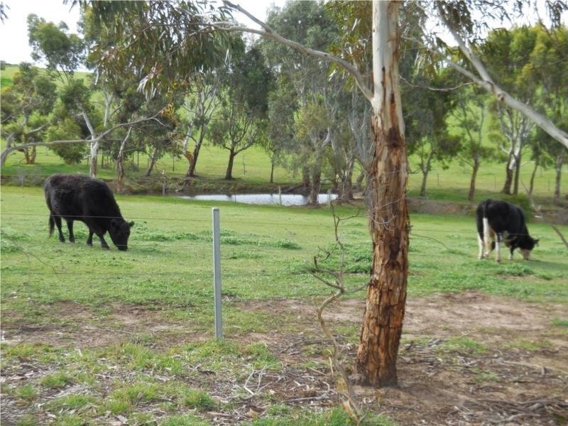 518 GLENFORD GULLY ROAD, Middleton SA 5213