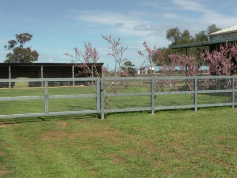 240 Cassidys Road, Murchison VIC 3610