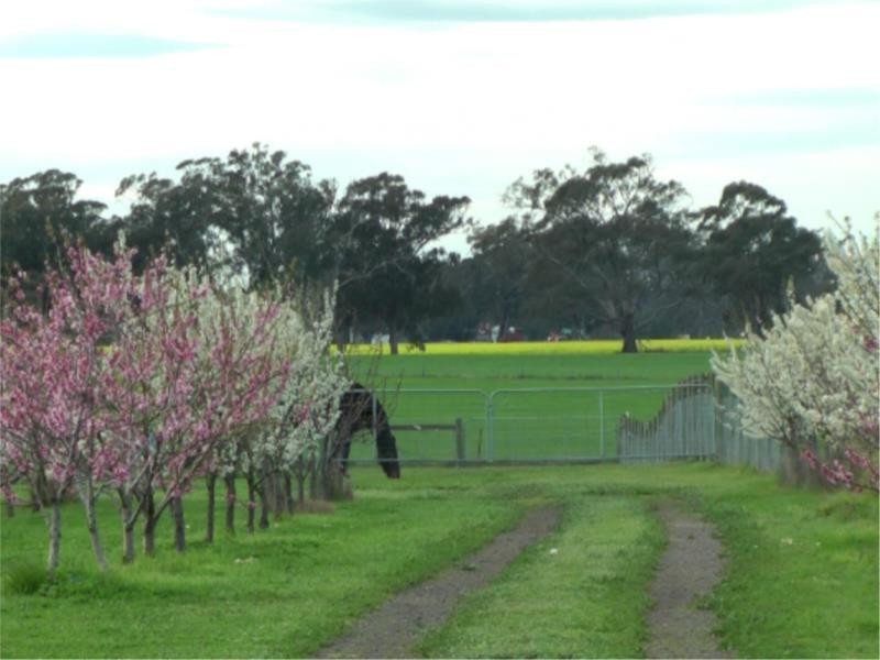240 Cassidys Road, Murchison VIC 3610