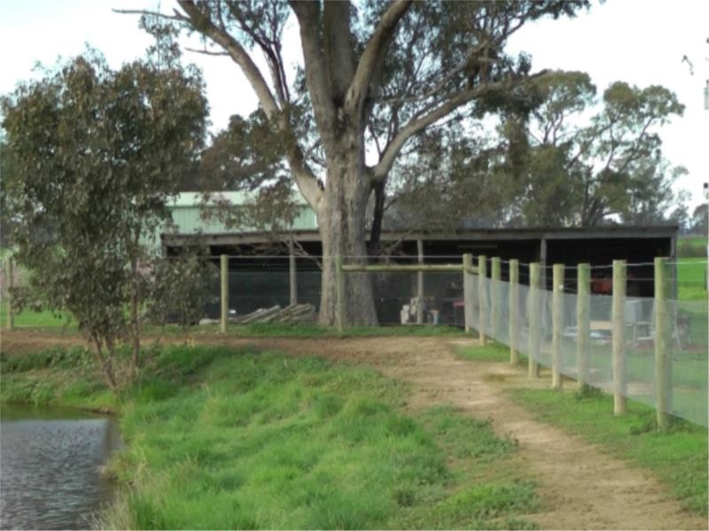 240 Cassidys Road, Murchison VIC 3610