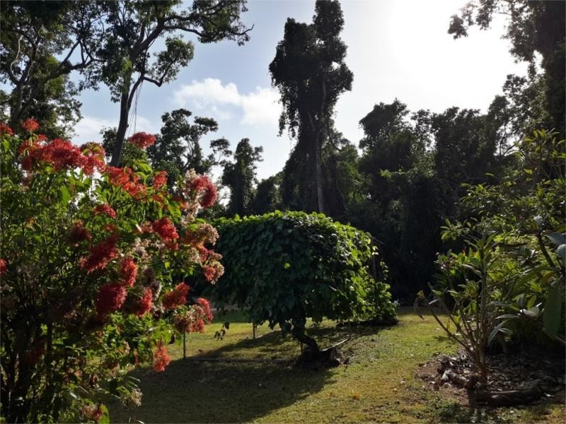 39 Endeavour Valley Road, Cooktown QLD 4895