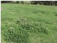 1347 Inverramsay Road, Goomburra QLD 4362