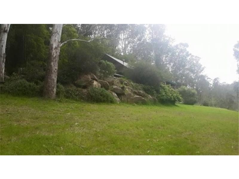 430 Yango Creek Road, Wollombi NSW 2325