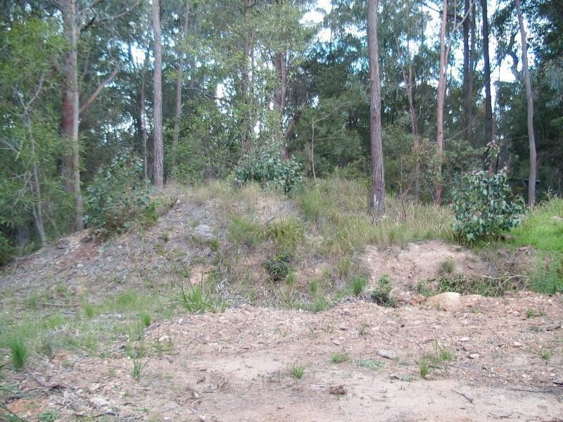 31 Waratah Street, Bowen Mountain NSW 2753