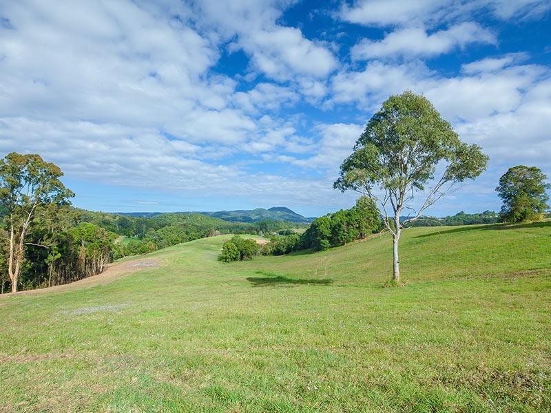 133 Jocelyn Drive, Eumundi QLD 4562