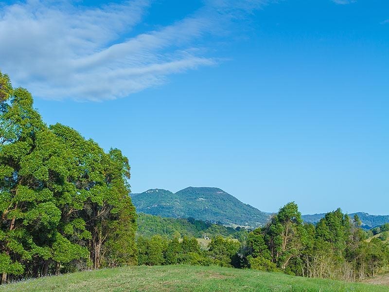 133 Jocelyn Drive, Eumundi QLD 4562
