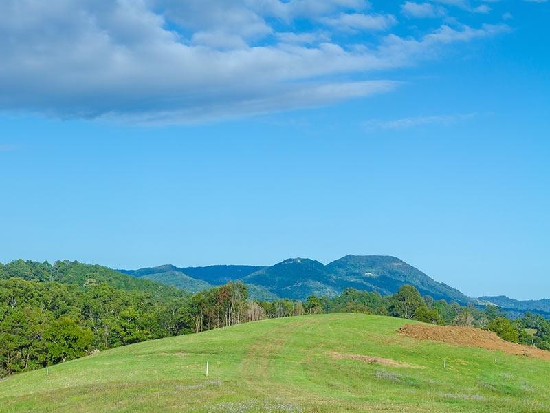 133 Jocelyn Drive, Eumundi QLD 4562
