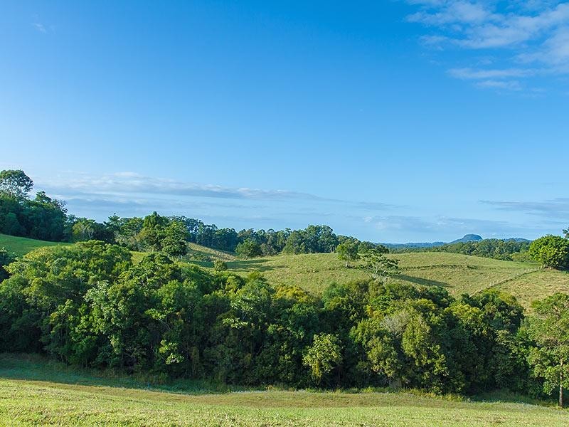 Lot 4/133 Jocelyn Drive, Eumundi QLD 4562