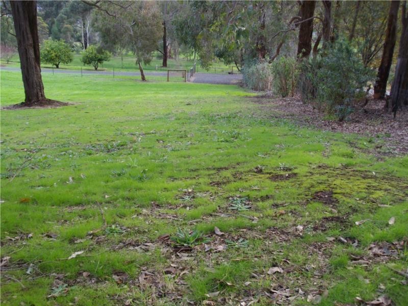 Lot 162 Dean Street, Bridgetown WA 6255