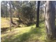 Lot 221 Old Maitland Road, Sawyers Gully NSW 2326