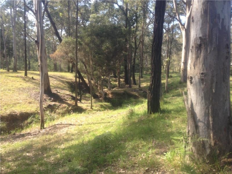 Lot 221 Old Maitland Road, Sawyers Gully NSW 2326