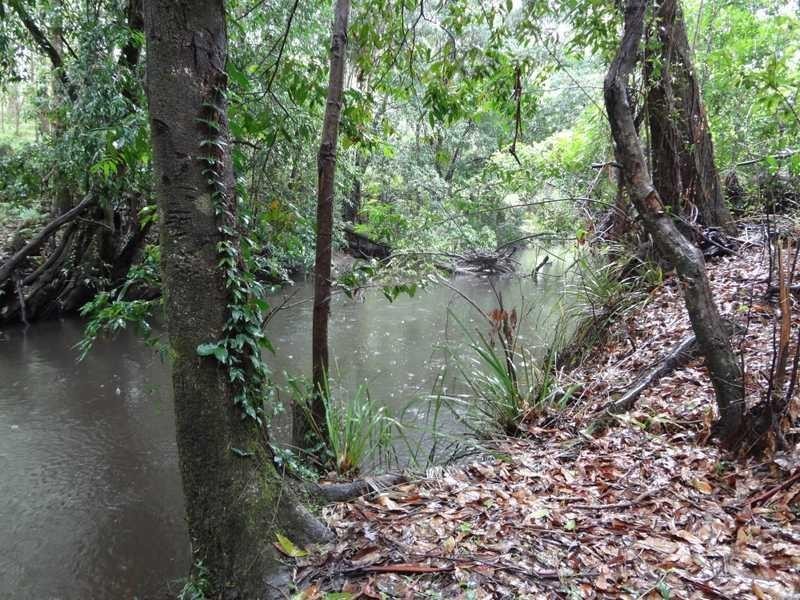 Wolvi QLD 4570