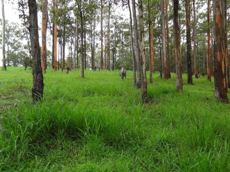 Wolvi QLD 4570