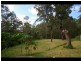 11 Sherborne Place, Chapel Hill QLD 4069