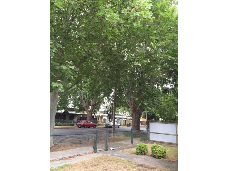 34 Torrens Street, College Park SA 5069