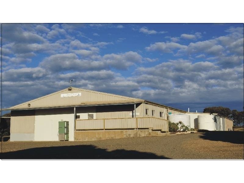 41 McCulloch Road, Monteith SA 5254