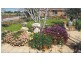 41 McCulloch Road, Monteith SA 5254