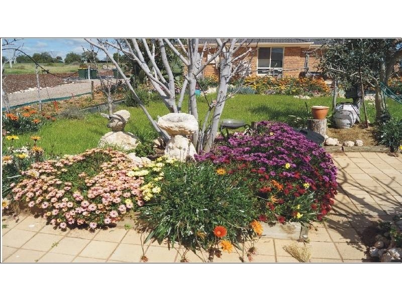 41 McCulloch Road, Monteith SA 5254