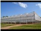Atherton QLD 4883
