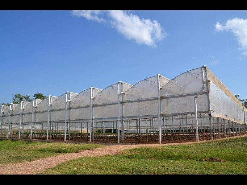 Atherton QLD 4883