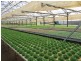 Atherton QLD 4883