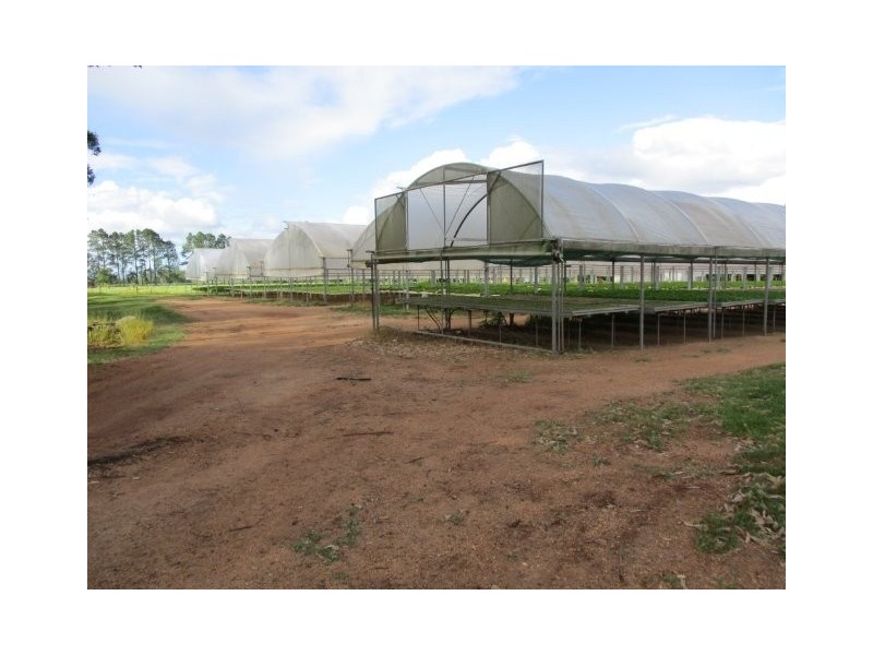 Atherton QLD 4883