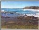 194 Maitland Road, Islington NSW 2296